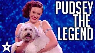 PUDSEY missed but never forgotten WINNERS of Britains Got Talent 2012 [upl. by Droffats672]