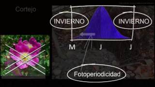 Comportamiento y selección natural  Biología  Khan Academy en Español [upl. by Renraw]