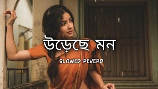 lofi উড়েছে মন।।ureche mon।।Bengali lyrics WhatsApp video।slowed reverd letest song video। Bengali [upl. by Ahseinet]