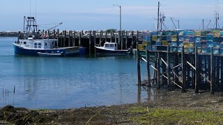 Grand Manan New Brunswick Island in the Bay of Fundy [upl. by Yahsan]