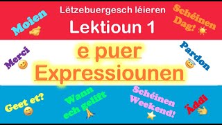 Apprendre le luxembourgeois 1er cours expressions de base  تعلم اللغة اللوكسمبورغية الدرس الأول [upl. by Belva471]