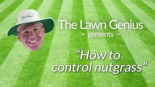 How to Control Nutgrass [upl. by Annoif]