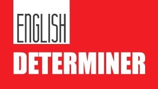 Determiner English Grammar Class 7th [upl. by Drhcir]