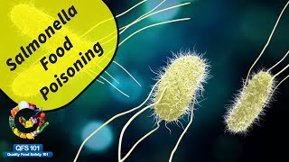 Salmonella Food Poisoning [upl. by Fabrin]