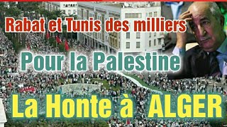 Soutien à la Palestine une fierté à Rabat et toutes les capitales au monde et une honte à Alger [upl. by Lraep526]