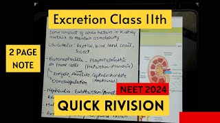 EXCRETORY PRODUCT AND THEIR ELIMINATION  CLASS 11th  NCERT QUICK REVISION FOR NEET 2024 [upl. by Nirre60]