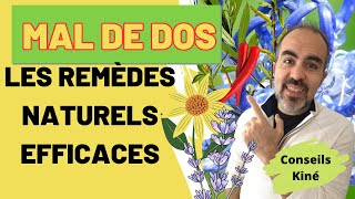 🌱Naturopathie et lombalgie  8 plantes médicinales surprenantes [upl. by Dibri]