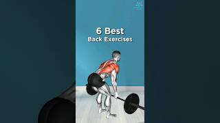 6 MUST DO BACK EXERCISES🔥shorts gymworkout [upl. by Atikihs191]