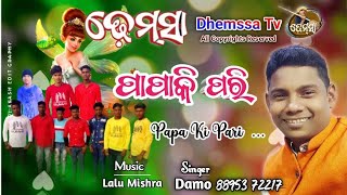 Song PAPA KI PARI dhemssa tv [upl. by Aenneea15]