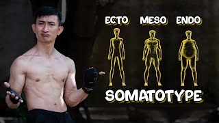 Bentuk Tubuh GENETIK  MIKIR  Ectomorph Mesomorph Endomorph  Somatotype Indonesia [upl. by Careaga]