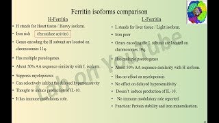 Ferritin Molecule 1B17 Ferritin isoform comparison [upl. by Nhaj]