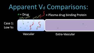 Volume of Distribution  Pharmacology Lect 5 [upl. by Enelaj]