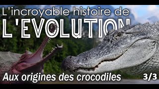 Aux origines des crocodiliens  33  Paléontologie  Simplex Paléo [upl. by Blount205]