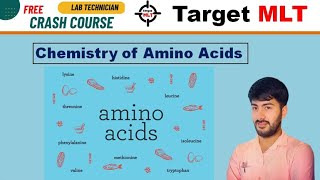 8 Amino Acids biochemistry by Sachin Punia  DSSSB  RRB  PGIMER  Aiims JSSC Osssc 2024 mlt [upl. by Heyman]