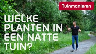 Welke planten doen het goed in een natte tuin  Tuinmanieren [upl. by Kast]