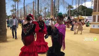 FERIA DE JEREZ 2023 EN DIRECTO  Domingo 7 de Mayo FeriadeJerez directo live streamelCaballo [upl. by Gerlac]