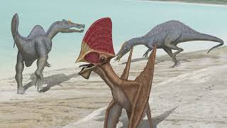 4 Pterosaurios reptiles voladores prehistóricos [upl. by Melena417]