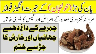 Kulanjan Ke Fayde in Urdu Hindi  Galangal Root Health Benefits [upl. by Hicks304]