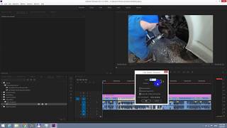 How to increase video frames per second Premiere Pro 29 fps to 50 fps [upl. by Mcafee]