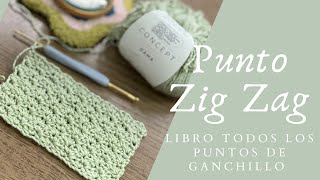 Puntada Zig Zag a crochet crochet 🧶 [upl. by Infield]