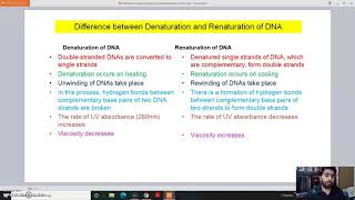 Denaturation vs Renaturation [upl. by Joacimah]