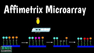 Affymetrix Microarray  Affymetrix Genechip  Affymetrix Genechip Oligonucleotide Microarray [upl. by Neala862]