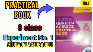 practical book 8 class Experiment No 1 study of lactobacilli subscribe [upl. by Ingrid901]