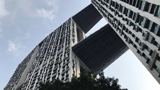 Iconic PinnacleDuxton Skyscraper and Scenic 50story Skybridge  Public Housing in Singapore [upl. by Asirrac]