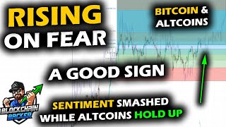 CRYPTO BOUNCES on FEAR Bitcoin Price Chart Enters Chop Zone Altcoin Market Holding Up [upl. by Ashla4]