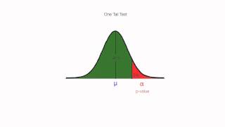 Excel 53 Analyzing two tail tests using excel [upl. by Anis]