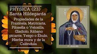 Libro de Medicina Sencilla 23 Santa Hildegarda de Bingen [upl. by Estren]