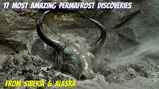 17 Most Amazing Permafrost Discoveries From Siberia amp Alaska [upl. by Drandell359]