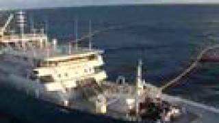 The Worlds Largest Tuna Fishing Vessel [upl. by Smitt]