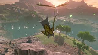 Korok seeds  Coliseum Ruins  Central Tower 110  Zelda BOTW [upl. by Emylee]