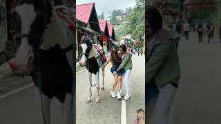 sameerabbasi500official sania trending subscribe love short shortvideo [upl. by Hebel]