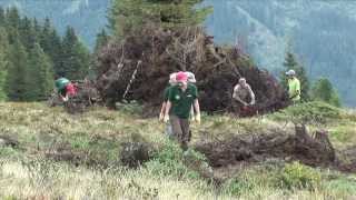 Freiwilligenarbeit Tirol Wohnen und Arbeiten auf der Alm in Österreich [upl. by Magill]