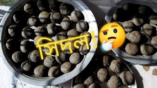 sidol উত্তরবঙ্গের ঐতিহ্যবাহী সিদল তৈরীর রেসিপি  traditional food sidol recipe  ROW VS COLUMN [upl. by Yrreb]