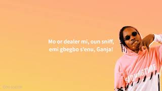 Naira Marley  Opotoyi Marlians Lyrics [upl. by Martainn]