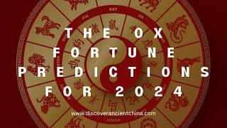 The Ox Fortune Predictions for 2024 [upl. by Annairda]