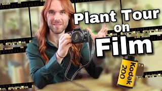 2024 Houseplant Tour ON FILM [upl. by Asilet]