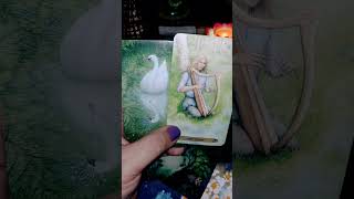 VOCÊ MANCHUCOU QUEM AMA tarot [upl. by Kesley]