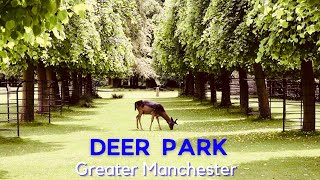 Dunham Massey Deer Park with Gardens amp Historic Hall  Visit England  2021 [upl. by Atteuqihc978]