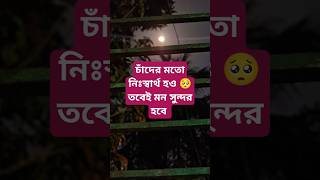 viralvideo shortsvideo চাঁদ নিজেও জানে না সে কতটা মায়া রেখে নিঃস্বার্থ ভাবে জোস্না দেয় 🥺। [upl. by Nus]