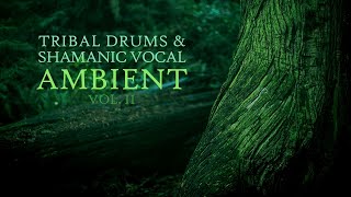 Tribal drums amp shamanic vocal ambient vol II  Primordial II full album [upl. by Lorrayne]