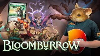 First Bloomburrow Draft With Luis ScottVarmint [upl. by Anhavas796]