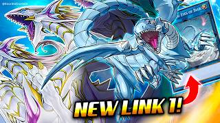 NEW BLUEEYES LINK❗ BlueEyes Deck Post Avent of BlueEyes  Exordio [upl. by Richard]