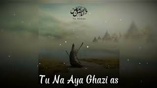 Tu Na Aya Ghazi Slowed And Reverb by Mir Hasan Mir Nohay [upl. by Somerset51]