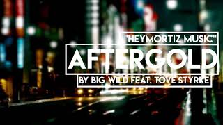 ♫ Aftergold by Big Wild ♫✘HeyMoritz Hintergrundmusik✘ [upl. by Aihsenat]