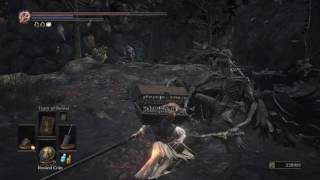 DARK SOULS 3 Storytellers Staff Farming Location [upl. by Adniram]