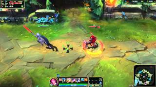 ALL FIORA SKINS SPOTLIGHT 2024  League of Legends [upl. by Eelac]